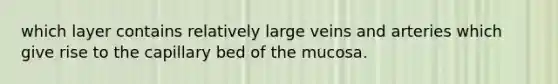 which layer contains relatively large veins and arteries which give rise to the capillary bed of the mucosa.