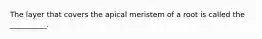 The layer that covers the apical meristem of a root is called the __________.