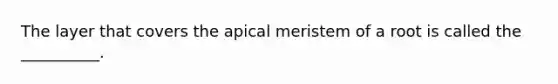 The layer that covers the apical meristem of a root is called the __________.