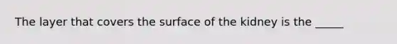 The layer that covers the surface of the kidney is the _____