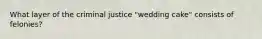 What layer of the criminal justice "wedding cake" consists of felonies?