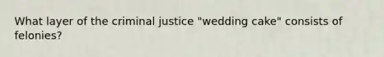 What layer of the criminal justice "wedding cake" consists of felonies?