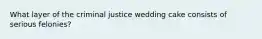 What layer of the criminal justice wedding cake consists of serious felonies?