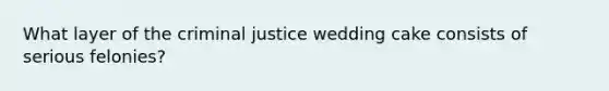 What layer of the criminal justice wedding cake consists of serious felonies?