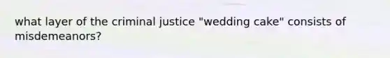 what layer of the criminal justice "wedding cake" consists of misdemeanors?