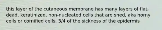 this layer of the cutaneous membrane has many layers of flat, dead, keratinized, non-nucleated cells that are shed, aka horny cells or cornified cells, 3/4 of the sickness of the epidermis