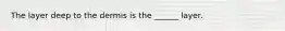 The layer deep to the dermis is the ______ layer.