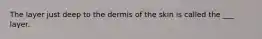 The layer just deep to the dermis of the skin is called the ___ layer.