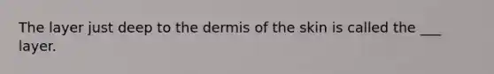 The layer just deep to the dermis of the skin is called the ___ layer.