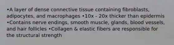 •A layer of dense connective tissue containing fibroblasts, adipocytes, and macrophages •10x - 20x thicker than epidermis •Contains nerve endings, smooth muscle, glands, blood vessels, and hair follicles •Collagen & elastic fibers are responsible for the structural strength