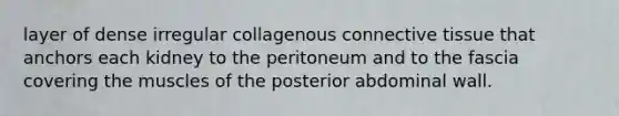 layer of dense irregular collagenous connective tissue that anchors each kidney to the peritoneum and to the fascia covering the muscles of the posterior abdominal wall.