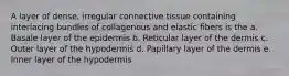 A layer of dense, irregular connective tissue containing interlacing bundles of collagenous and elastic fibers is the a. Basale layer of the epidermis b. Reticular layer of the dermis c. Outer layer of the hypodermis d. Papillary layer of the dermis e. Inner layer of the hypodermis