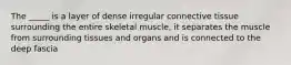 The _____ is a layer of dense irregular connective tissue surrounding the entire skeletal muscle, it separates the muscle from surrounding tissues and organs and is connected to the deep fascia