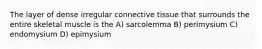 The layer of dense irregular connective tissue that surrounds the entire skeletal muscle is the A) sarcolemma B) perimysium C) endomysium D) epimysium