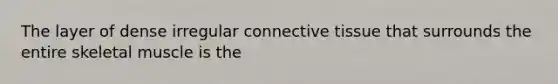 The layer of dense irregular connective tissue that surrounds the entire skeletal muscle is the