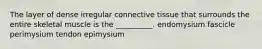 The layer of dense irregular connective tissue that surrounds the entire skeletal muscle is the __________. endomysium fascicle perimysium tendon epimysium