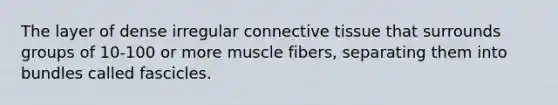 The layer of dense irregular connective tissue that surrounds groups of 10-100 or more muscle fibers, separating them into bundles called fascicles.