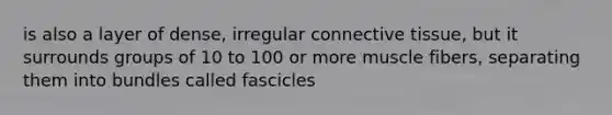 is also a layer of dense, irregular connective tissue, but it surrounds groups of 10 to 100 or more muscle fibers, separating them into bundles called fascicles