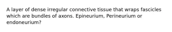 A layer of dense irregular <a href='https://www.questionai.com/knowledge/kYDr0DHyc8-connective-tissue' class='anchor-knowledge'>connective tissue</a> that wraps fascicles which are bundles of axons. Epineurium, Perineurium or endoneurium?