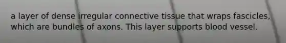 a layer of dense irregular connective tissue that wraps fascicles, which are bundles of axons. This layer supports blood vessel.