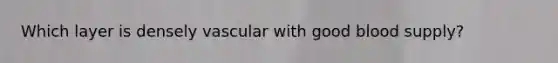 Which layer is densely vascular with good blood supply?