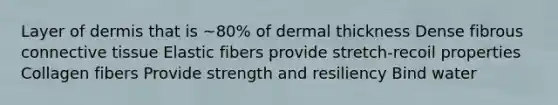 Layer of dermis that is ~80% of dermal thickness Dense fibrous connective tissue Elastic fibers provide stretch-recoil properties Collagen fibers Provide strength and resiliency Bind water