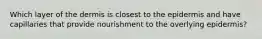 Which layer of the dermis is closest to the epidermis and have capillaries that provide nourishment to the overlying epidermis?