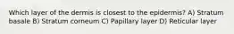 Which layer of the dermis is closest to the epidermis? A) Stratum basale B) Stratum corneum C) Papillary layer D) Reticular layer