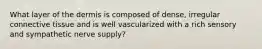 What layer of the dermis is composed of dense, irregular connective tissue and is well vascularized with a rich sensory and sympathetic nerve supply?