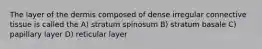 The layer of the dermis composed of dense irregular connective tissue is called the A) stratum spinosum B) stratum basale C) papillary layer D) reticular layer