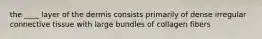 the ____ layer of the dermis consists primarily of dense irregular connective tissue with large bundles of collagen fibers