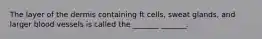 The layer of the dermis containing ft cells, sweat glands, and larger blood vessels is called the _______ _______.