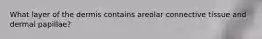 What layer of the dermis contains areolar connective tissue and dermal papillae?