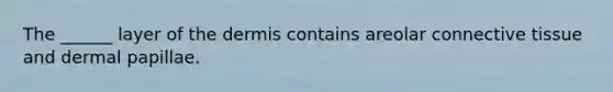 The ______ layer of the dermis contains areolar connective tissue and dermal papillae.
