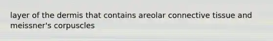 layer of <a href='https://www.questionai.com/knowledge/kEsXbG6AwS-the-dermis' class='anchor-knowledge'>the dermis</a> that contains areolar <a href='https://www.questionai.com/knowledge/kYDr0DHyc8-connective-tissue' class='anchor-knowledge'>connective tissue</a> and meissner's corpuscles