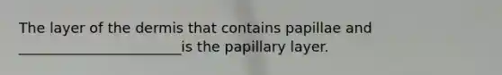 The layer of <a href='https://www.questionai.com/knowledge/kEsXbG6AwS-the-dermis' class='anchor-knowledge'>the dermis</a> that contains papillae and _______________________is the papillary layer.