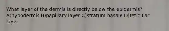 What layer of the dermis is directly below the epidermis? A)hypodermis B)papillary layer C)stratum basale D)reticular layer