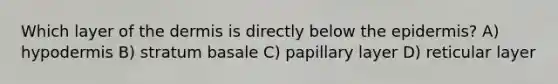Which layer of <a href='https://www.questionai.com/knowledge/kEsXbG6AwS-the-dermis' class='anchor-knowledge'>the dermis</a> is directly below <a href='https://www.questionai.com/knowledge/kBFgQMpq6s-the-epidermis' class='anchor-knowledge'>the epidermis</a>? A) hypodermis B) stratum basale C) papillary layer D) reticular layer