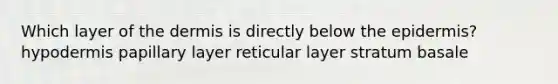 Which layer of the dermis is directly below the epidermis? hypodermis papillary layer reticular layer stratum basale