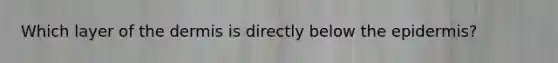 Which layer of <a href='https://www.questionai.com/knowledge/kEsXbG6AwS-the-dermis' class='anchor-knowledge'>the dermis</a> is directly below <a href='https://www.questionai.com/knowledge/kBFgQMpq6s-the-epidermis' class='anchor-knowledge'>the epidermis</a>?