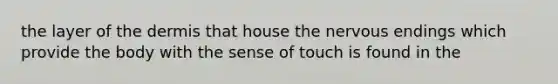 the layer of the dermis that house the nervous endings which provide the body with the sense of touch is found in the