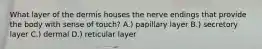 What layer of the dermis houses the nerve endings that provide the body with sense of touch? A.) papillary layer B.) secretory layer C.) dermal D.) reticular layer