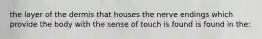 the layer of the dermis that houses the nerve endings which provide the body with the sense of touch is found is found in the: