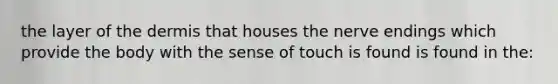 the layer of the dermis that houses the nerve endings which provide the body with the sense of touch is found is found in the: