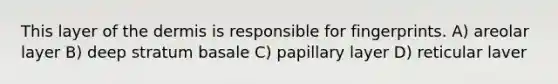 This layer of the dermis is responsible for fingerprints. A) areolar layer B) deep stratum basale C) papillary layer D) reticular laver
