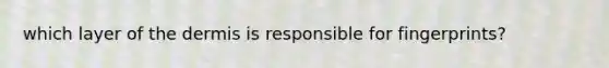 which layer of the dermis is responsible for fingerprints?