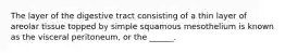 The layer of the digestive tract consisting of a thin layer of areolar tissue topped by simple squamous mesothelium is known as the visceral peritoneum, or the ______.