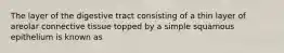 The layer of the digestive tract consisting of a thin layer of areolar connective tissue topped by a simple squamous epithelium is known as