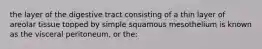 the layer of the digestive tract consisting of a thin layer of areolar tissue topped by simple squamous mesothelium is known as the visceral peritoneum, or the: