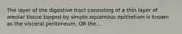 The layer of the digestive tract consisting of a thin layer of areolar tissue topped by simple squamous epithelium is known as the visceral peritoneum, OR the...